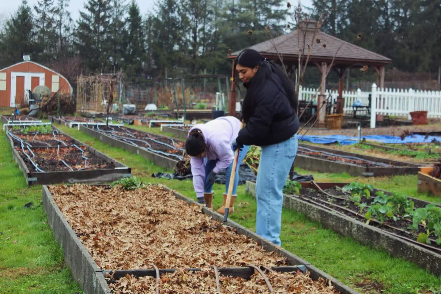 Servicio Comunitario 15